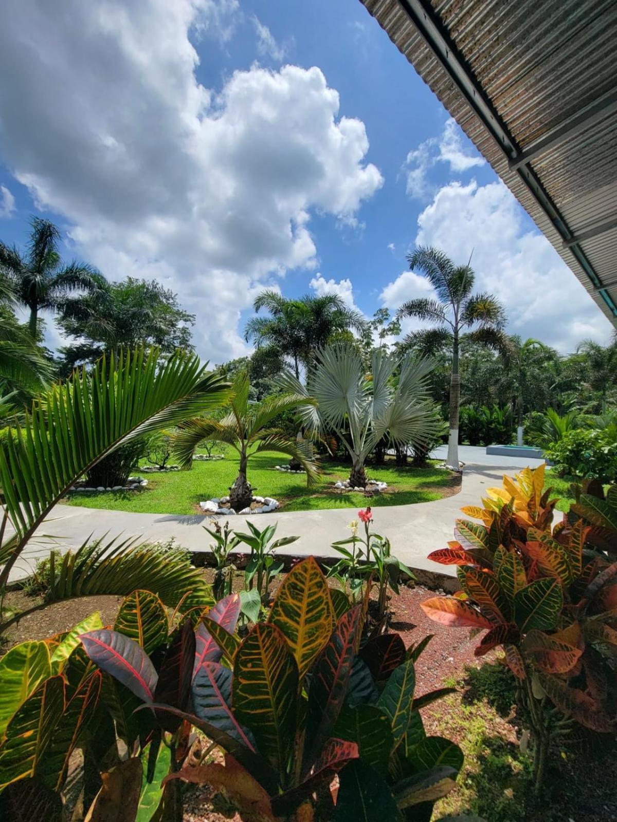 Hotel Campestre Arenal La Fortuna Esterno foto