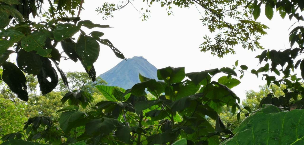 Hotel Campestre Arenal La Fortuna Esterno foto